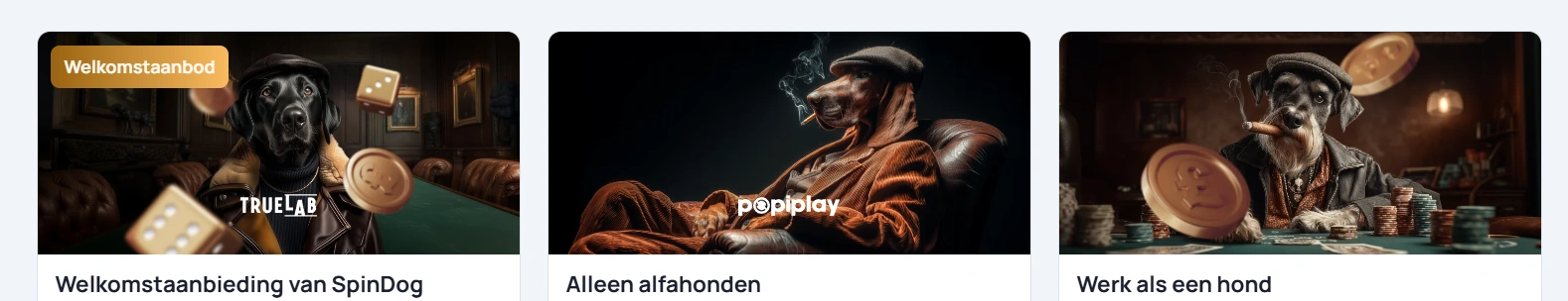 spindog casino bonussen